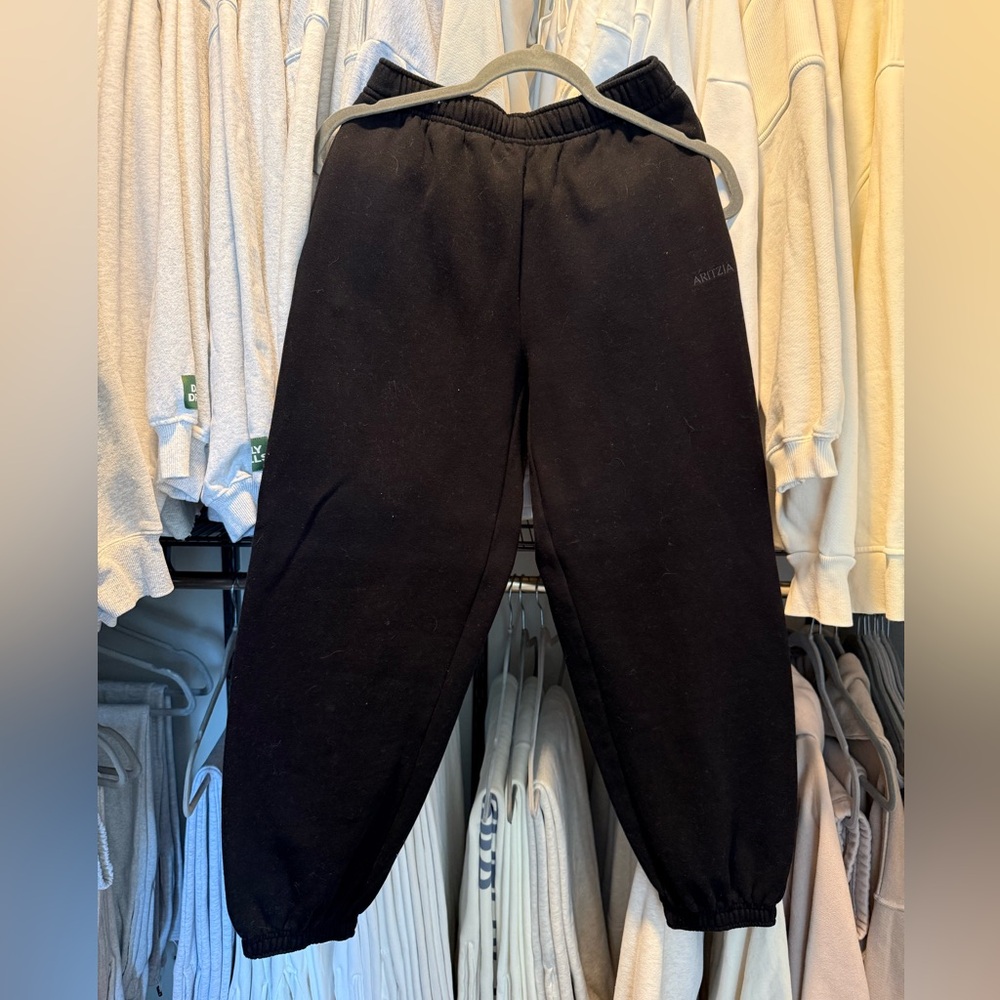 Aritzia Mega Sweatpants